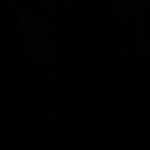 Meet your Posher, Deana